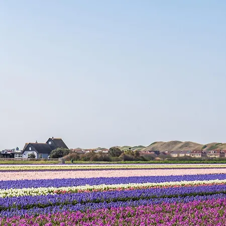 Apartment Badhotel 315 - Aan Zee