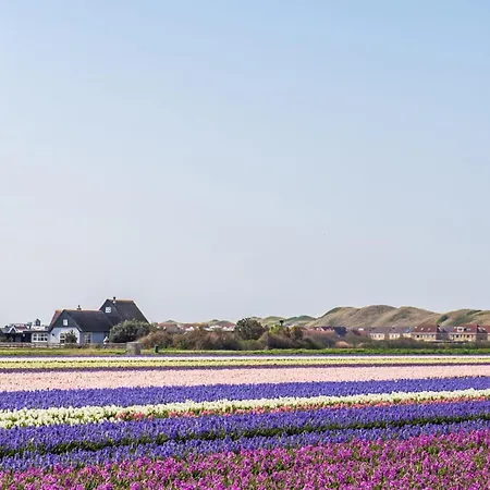 Appartement Badhotel 315 - Aan Zee Callantsoog