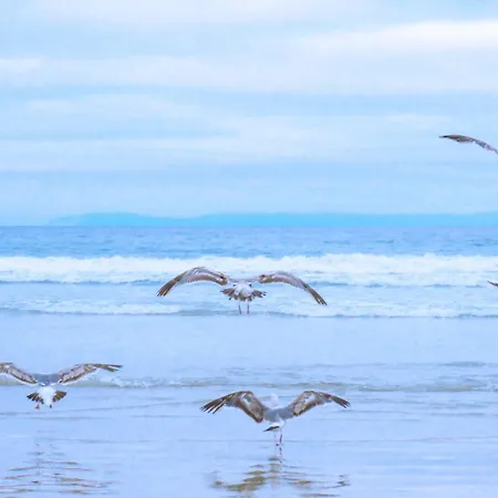 Lägenhet Badhotel 315 - Aan Zee 3*